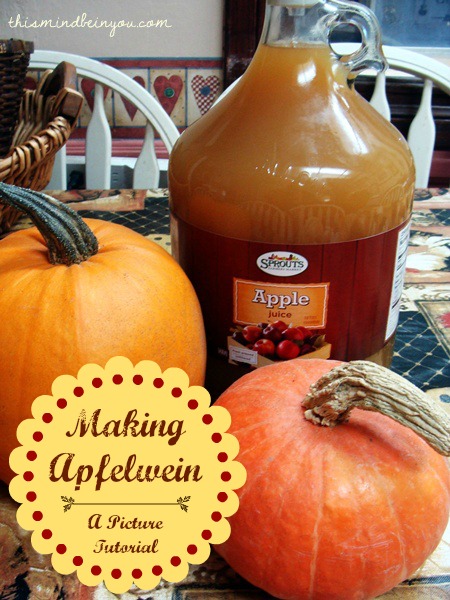 How to Make  Apfelwein at Home : A Picture Tutorial 