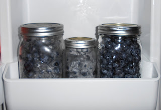 How to Preserve Blueberries