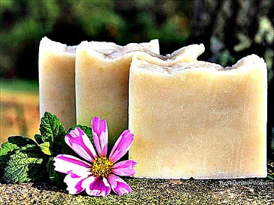 How to Make Honey & Dandelion Soap