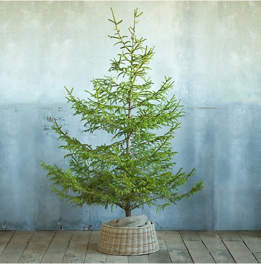 5 Alternatives to Christmas Tree Skirts