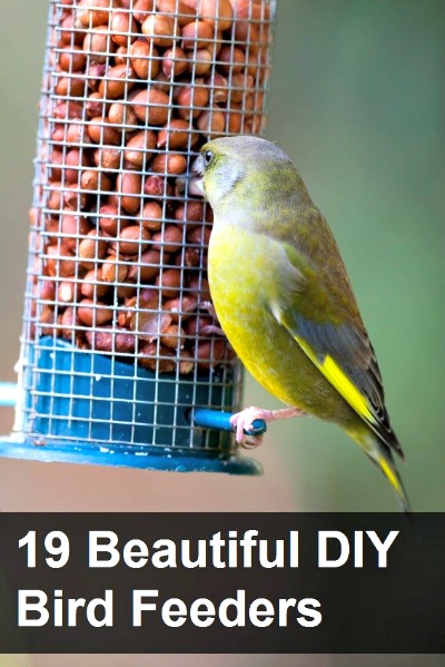 19 Beautiful DIY Bird Feeders 