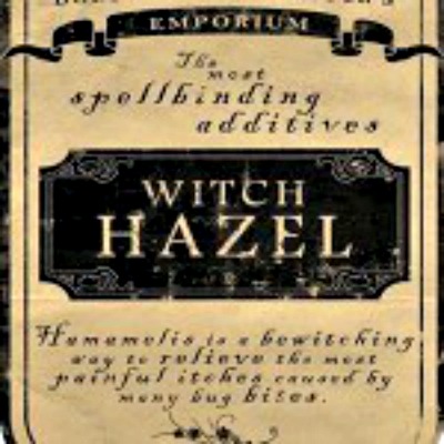 The Many Uses of Witch Hazel
