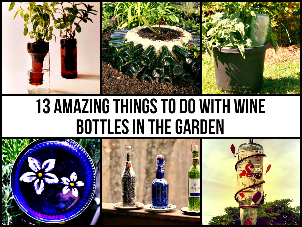 13 Amazing Things To Do With Wine Bottles In The Garden