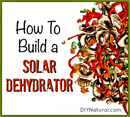 How to Build a Solar Dehydrator