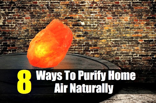 8 Ways To Purify Home Air Naturally 