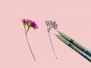 How to Draw a Wildflower