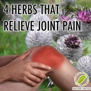 4 Herbs That Naturally Relieve Joint Pain
