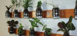 DYI: Build a Mason Jar Herb Garden