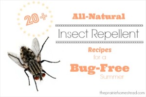 20+ All-Natural Insect Repellent Recipes for a Bug-Free Summer