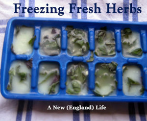 How to Freeze Fresh Herbs