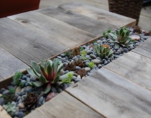 DIY Plant Table with Succulents