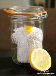How to Make Reusable Lemon Dust Cloths