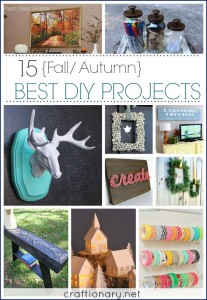 15 Best DIY Projects for Autumn