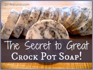 best slow cooker soap
