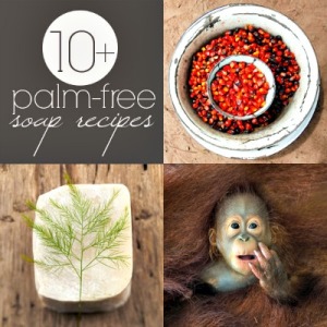 10+ Palm-Free Soap Recipes