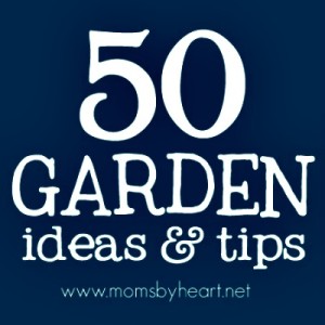 50 Gardening Ideas & Tips