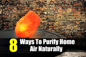 8 Ways To Purify Home Air Naturally
