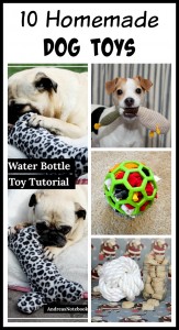 10 Homemade Dog Toys