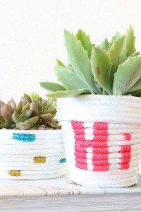 DIY Rope Wrapped Planters